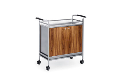 entourage mobile cart