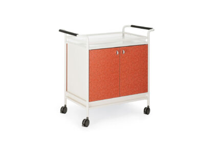 entourage mobile cart