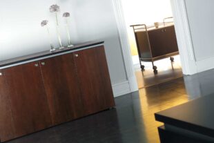 entourage storage cabinet and mobile cart