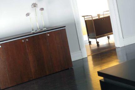 entourage storage cabinet and mobile cart