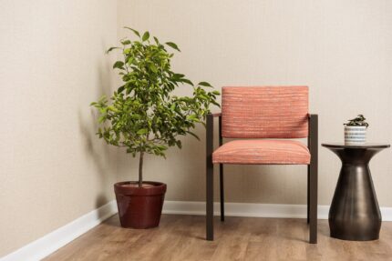 socius healthcare lounge chair