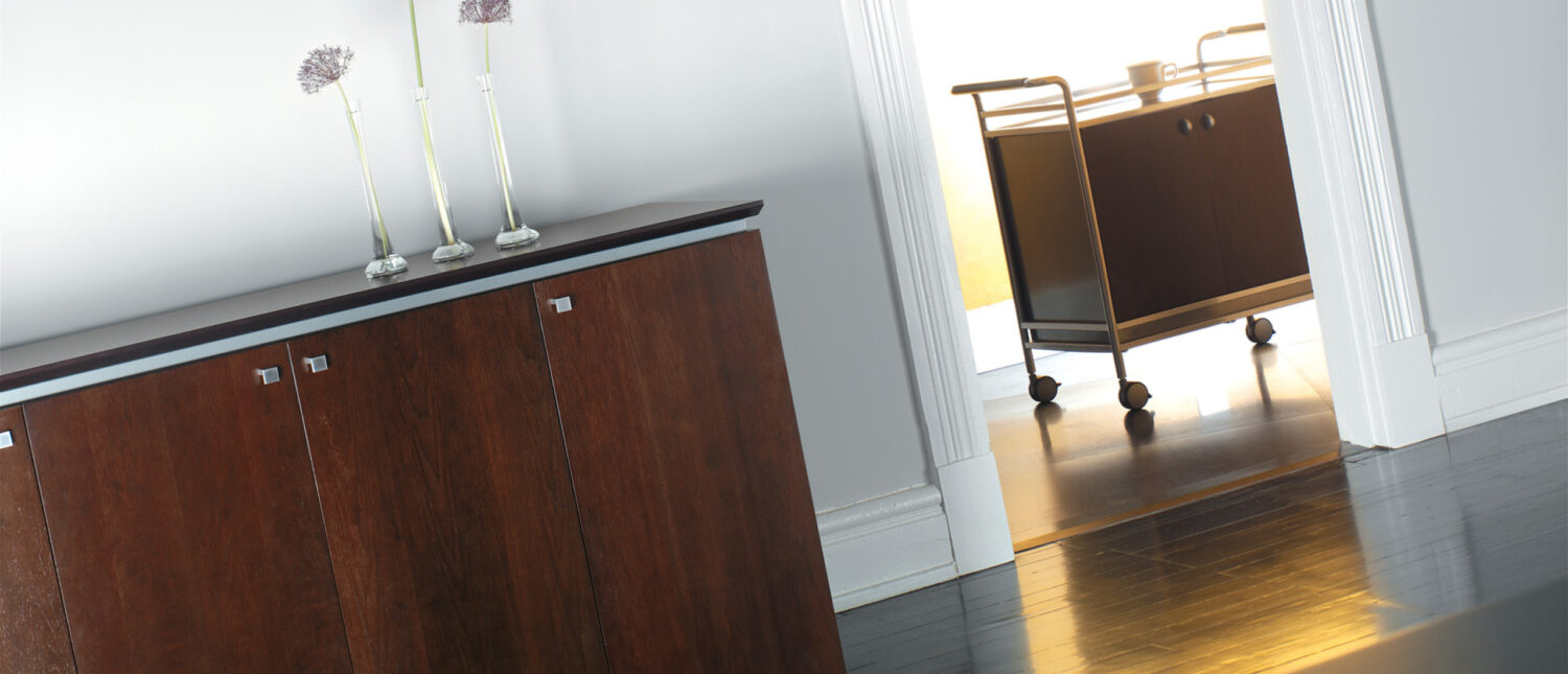 entourage storage cabinet and mobile cart