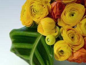 20 web versteel floral 03 DSC 3588